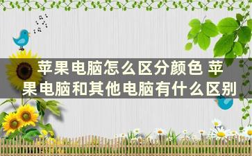 苹果电脑怎么区分颜色 苹果电脑和其他电脑有什么区别